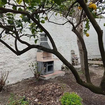 Garden *